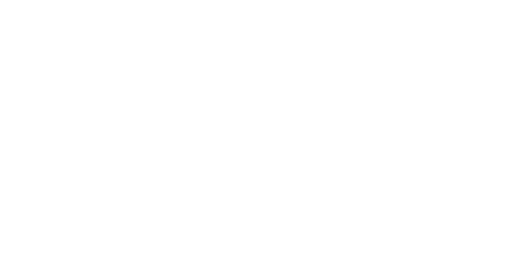 Bay Leather Republic