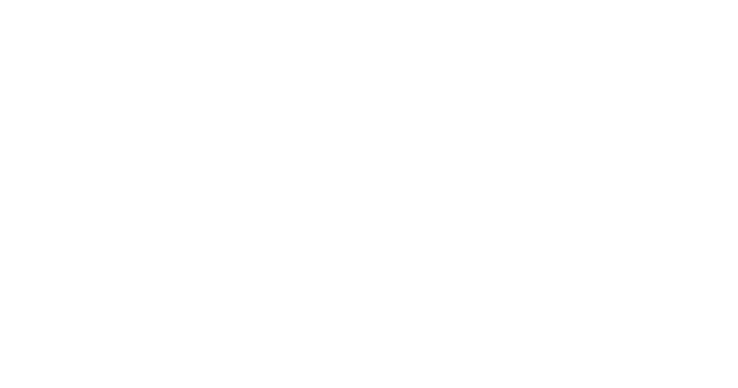 Sanity
