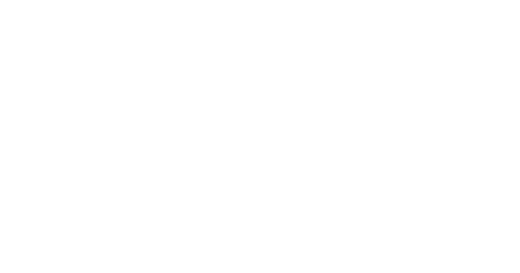 Barbeques Galore